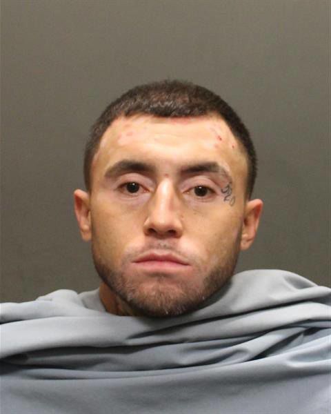 Mug shots 2019